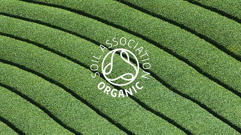 Ghost Matcha, Hojicha and Genmaicha organic green tea powders are all 100% Soil Association certified organic and organically grown in harmony with nature in Wazuka, Kyoto, Japan