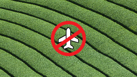 All our Ghost Matcha organic green tea powders have zero air miles and will never be air freighted