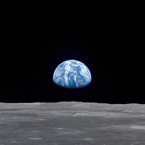 Our sweet world is facing a (man-made) climate emergency and biodiversity crisis