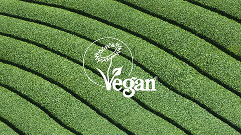 Ghost Matcha, Hojicha and Genmaicha are all registered with The Vegan Society and suitable for Vegans because they are 100% dairy and milk free. 